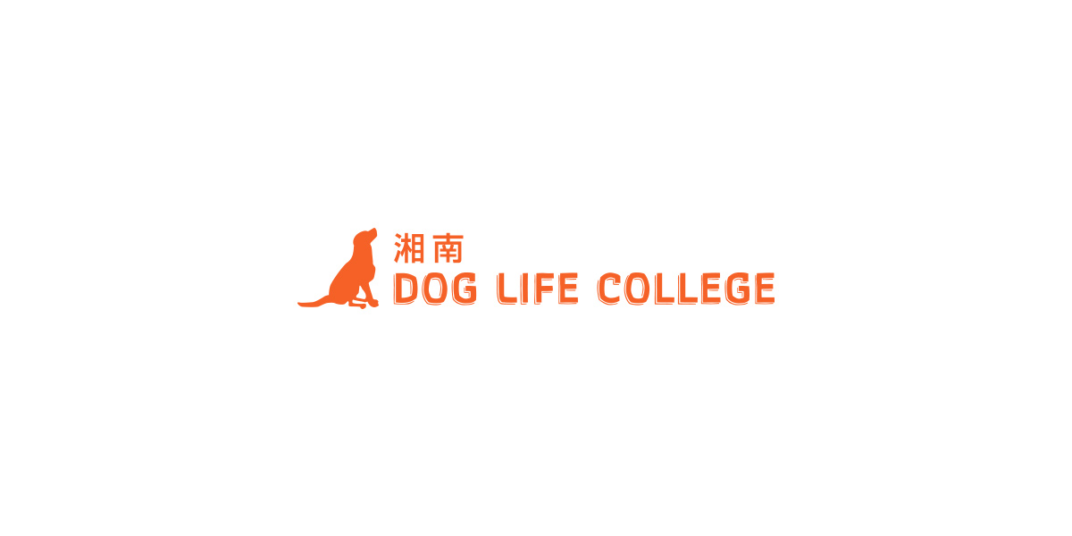 トリミングスクール 湘南dog Life Collegeのトリミングスクールについて